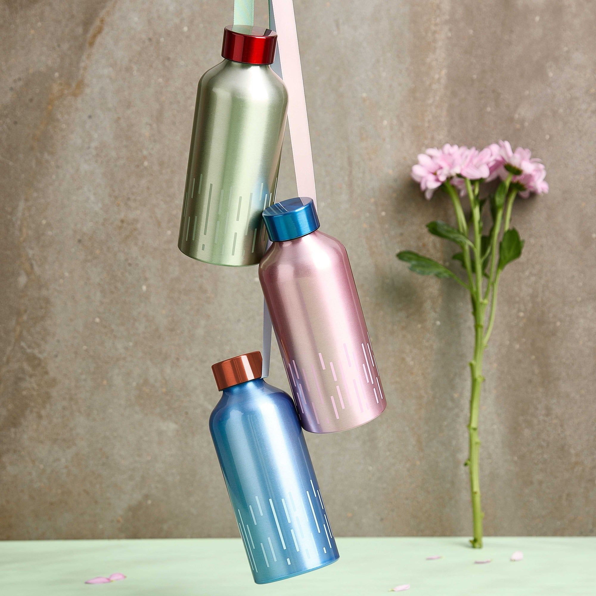 Conteffi to go | Pistachio