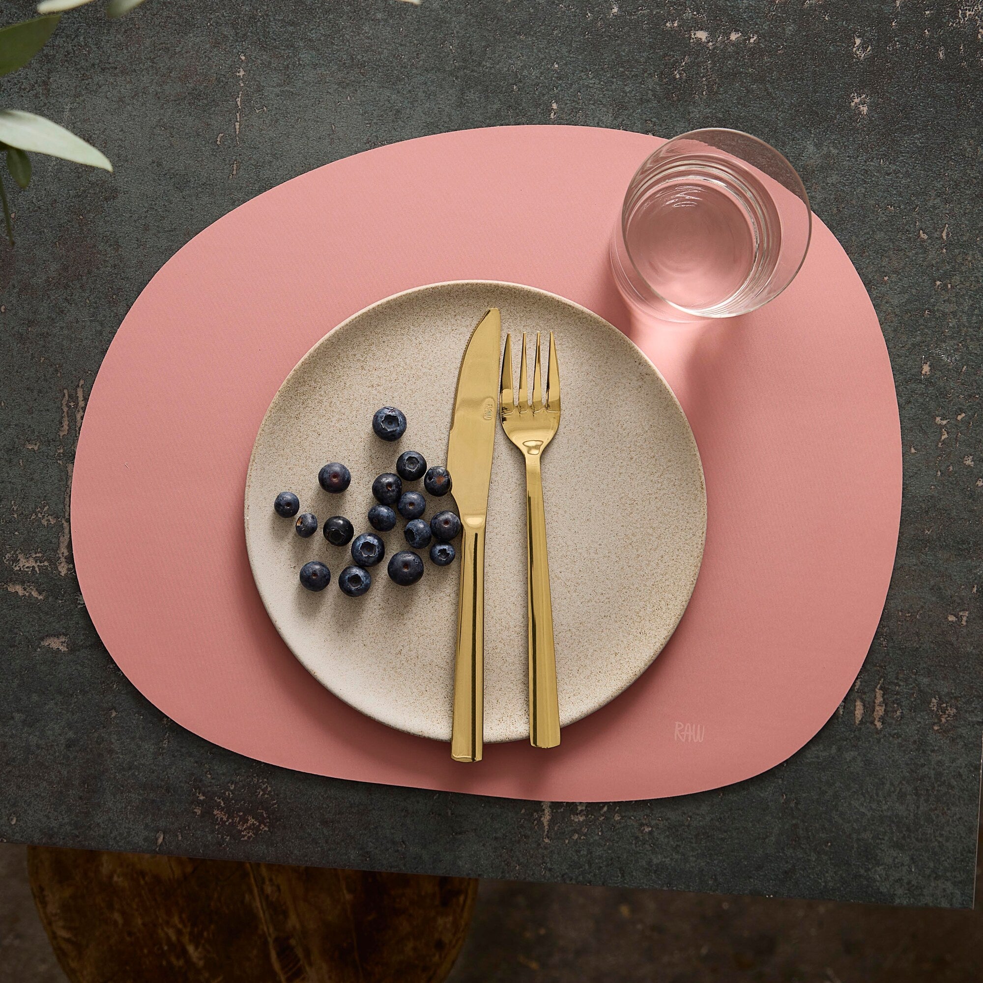 RAW Silikone dækkeserviet | Spice Rose