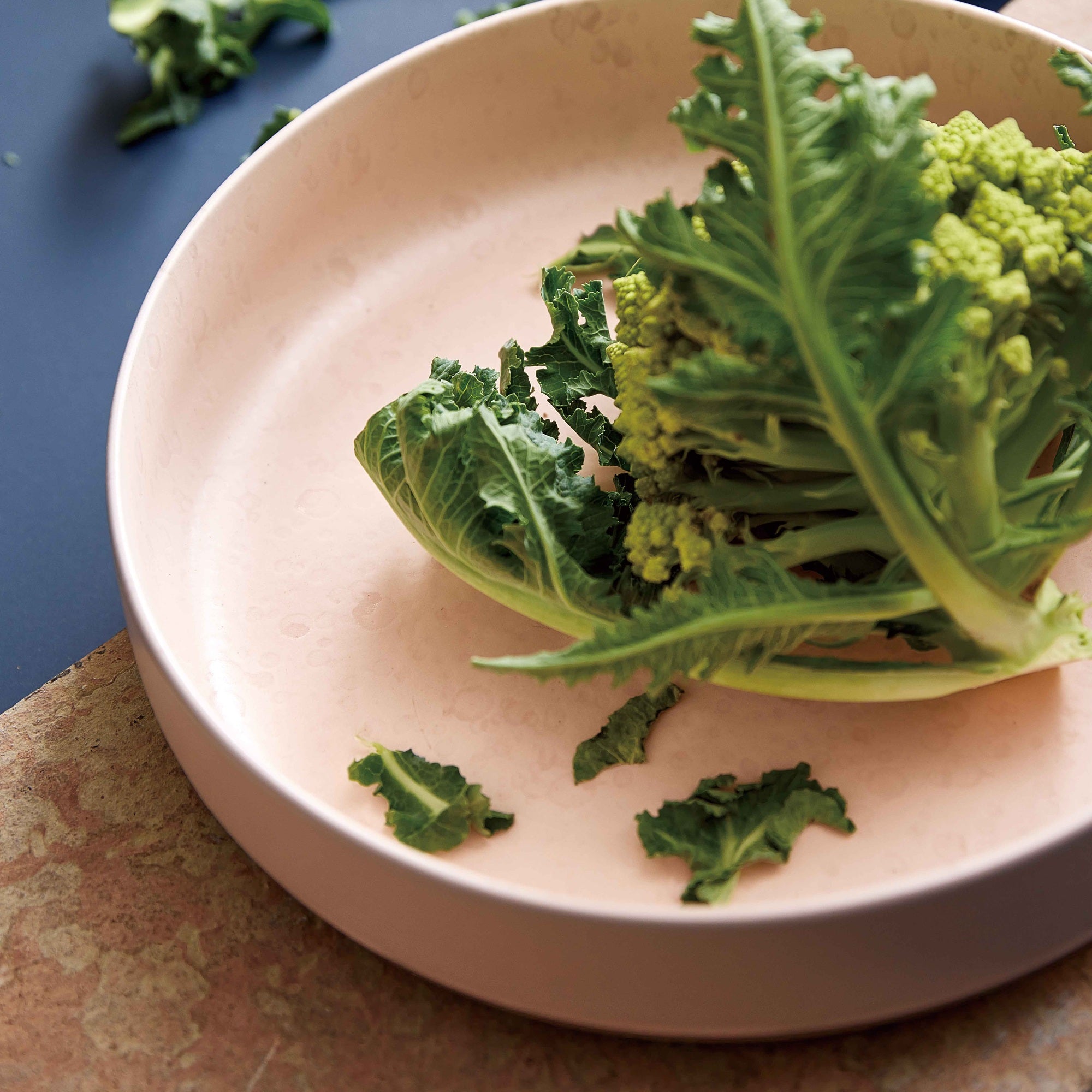 RAW serveringsskål | Nordic Nude