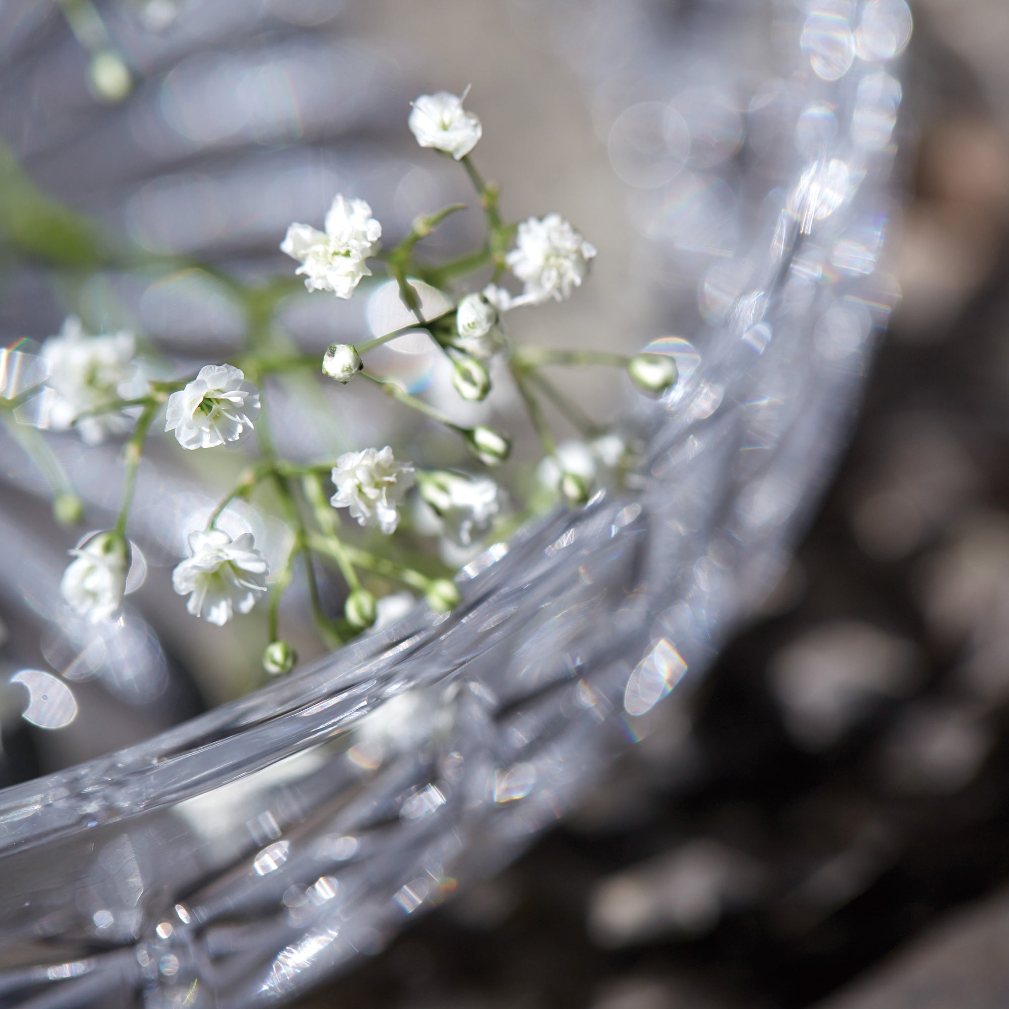 Harvey isasiet  4 stk. | Klar