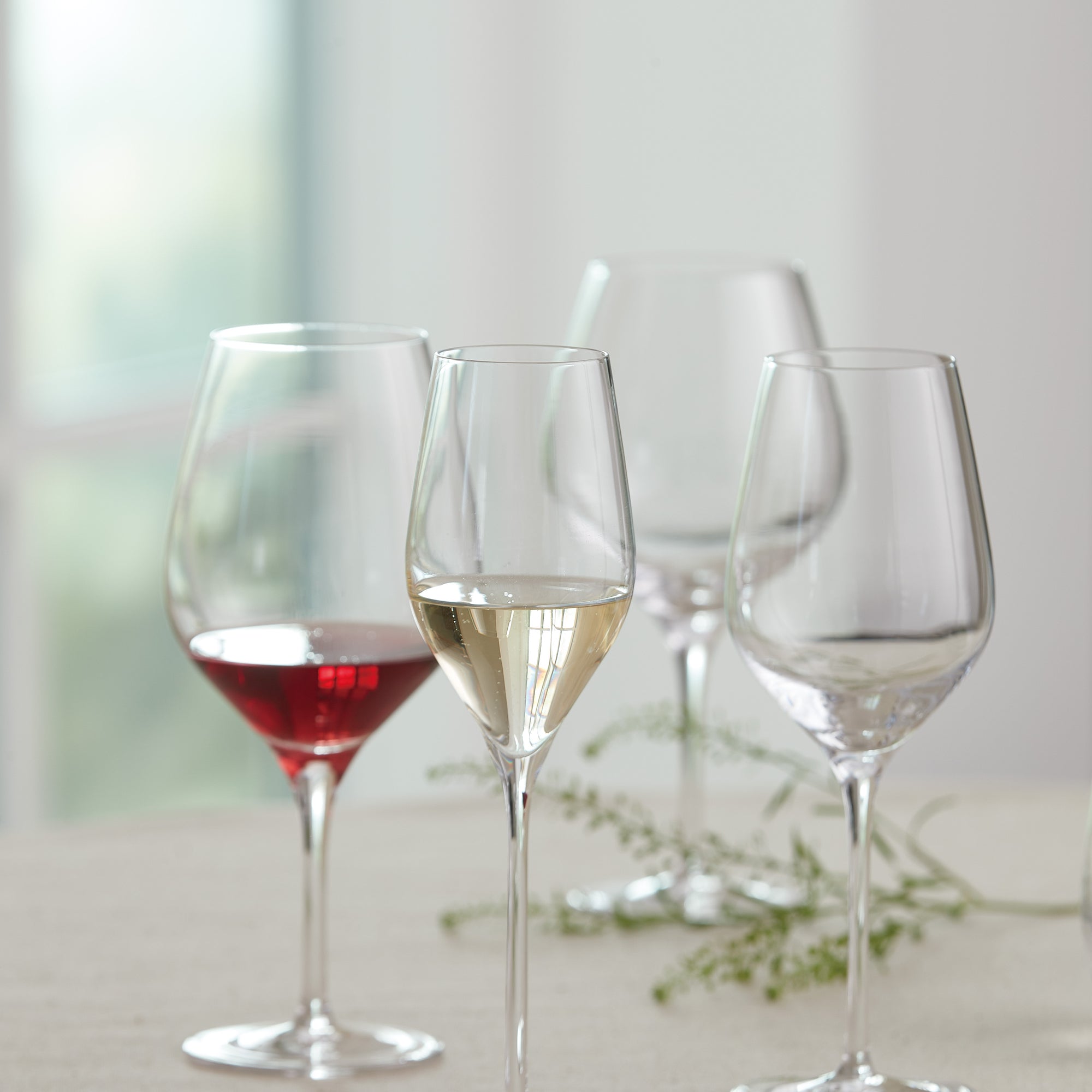 Passion Connoisseur -
rødvinsglas til kraftige mørke vine 2 stk | Klar