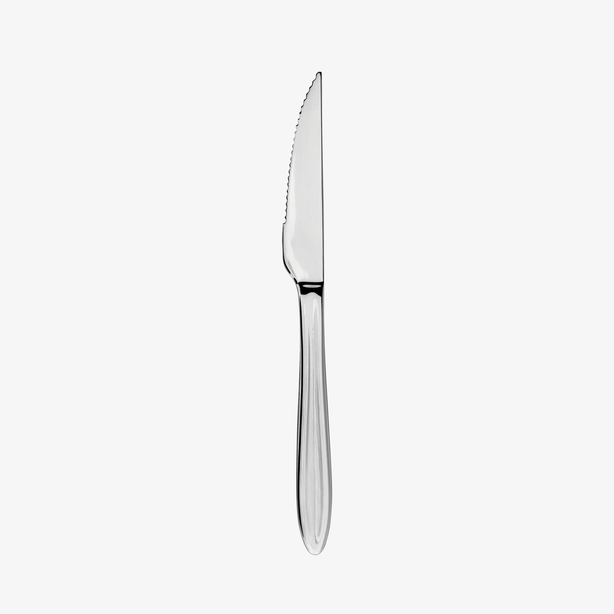 Gastro steakkniv | Blank Stål