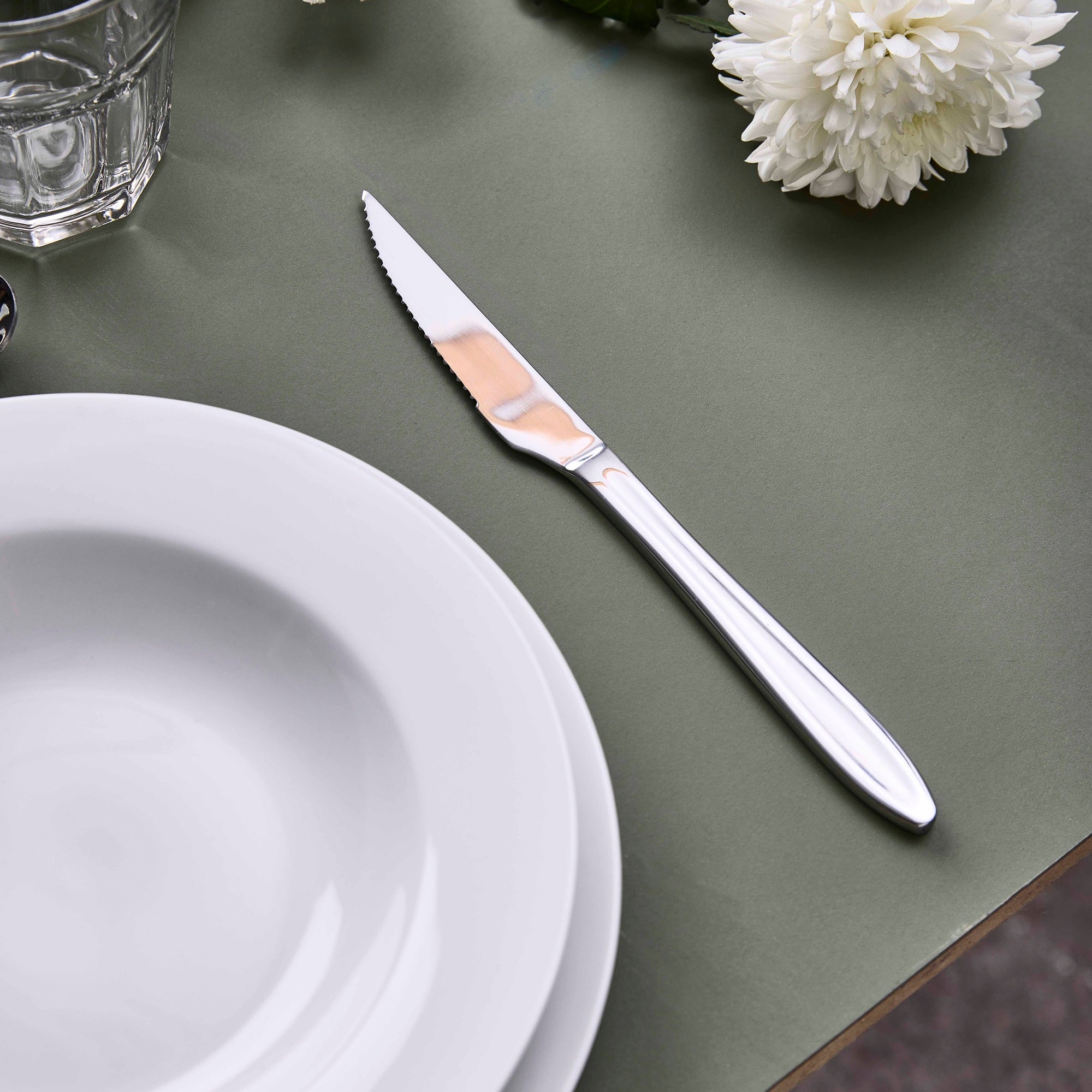 Gastro steakkniv | Blank Stål